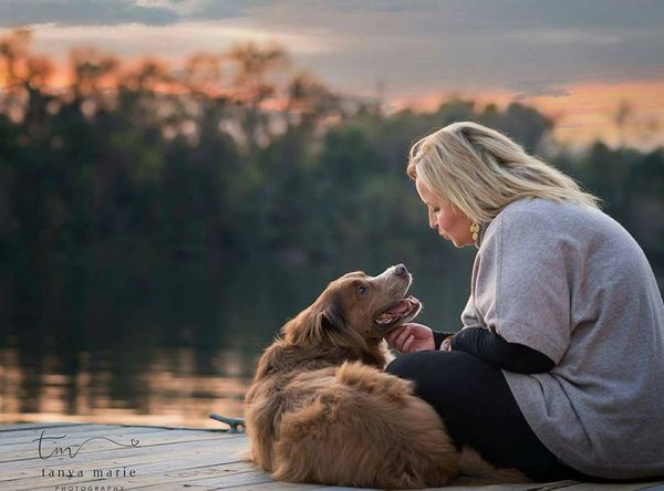 Shelter Rescue Project