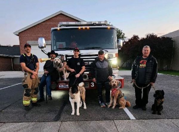 Guardian Paws Service Dog