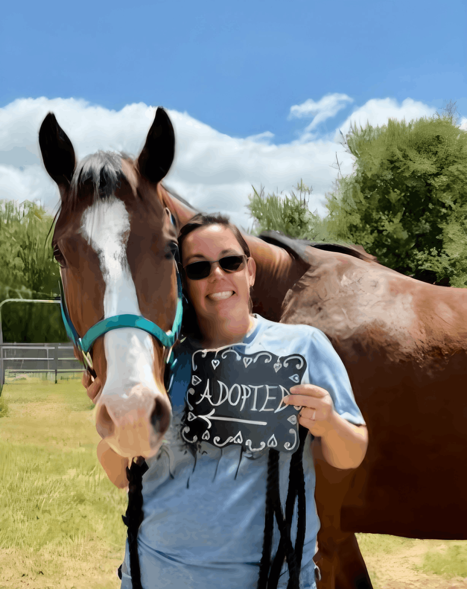 California Coastal Horse Rescue