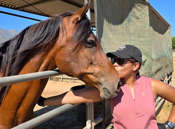 California Coastal Horse Rescue