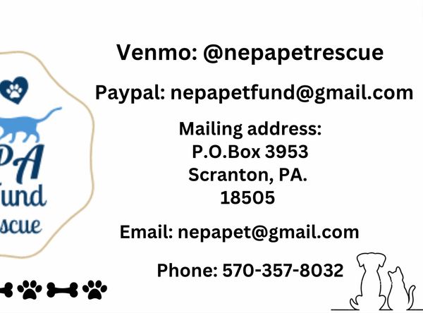 Northeast PA Pet Fund and Rescue
