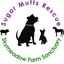 Sugar Mutts Rescue