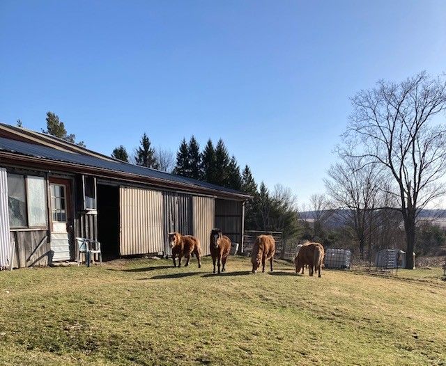 Gemini Farm Sanctuary