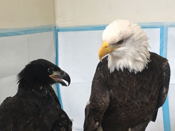 The Wildlife Sanctuary of Northwest Florida