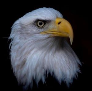 The Wildlife Sanctuary of Northwest Florida