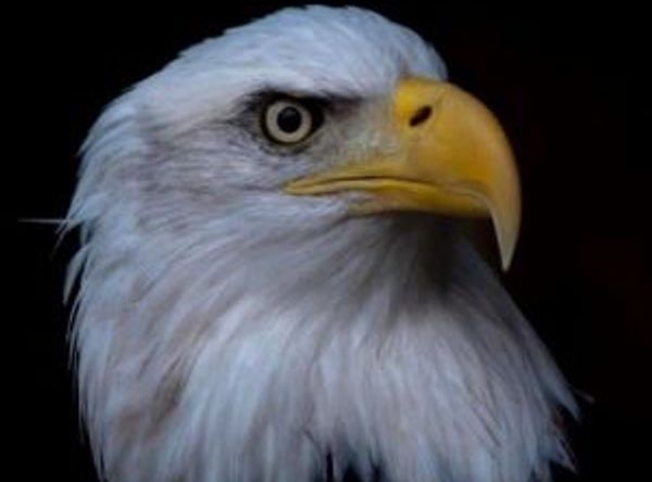 The Wildlife Sanctuary of Northwest Florida