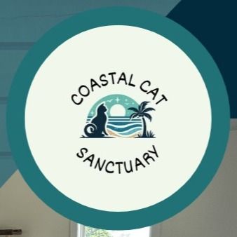 Coastal Cats and Critters