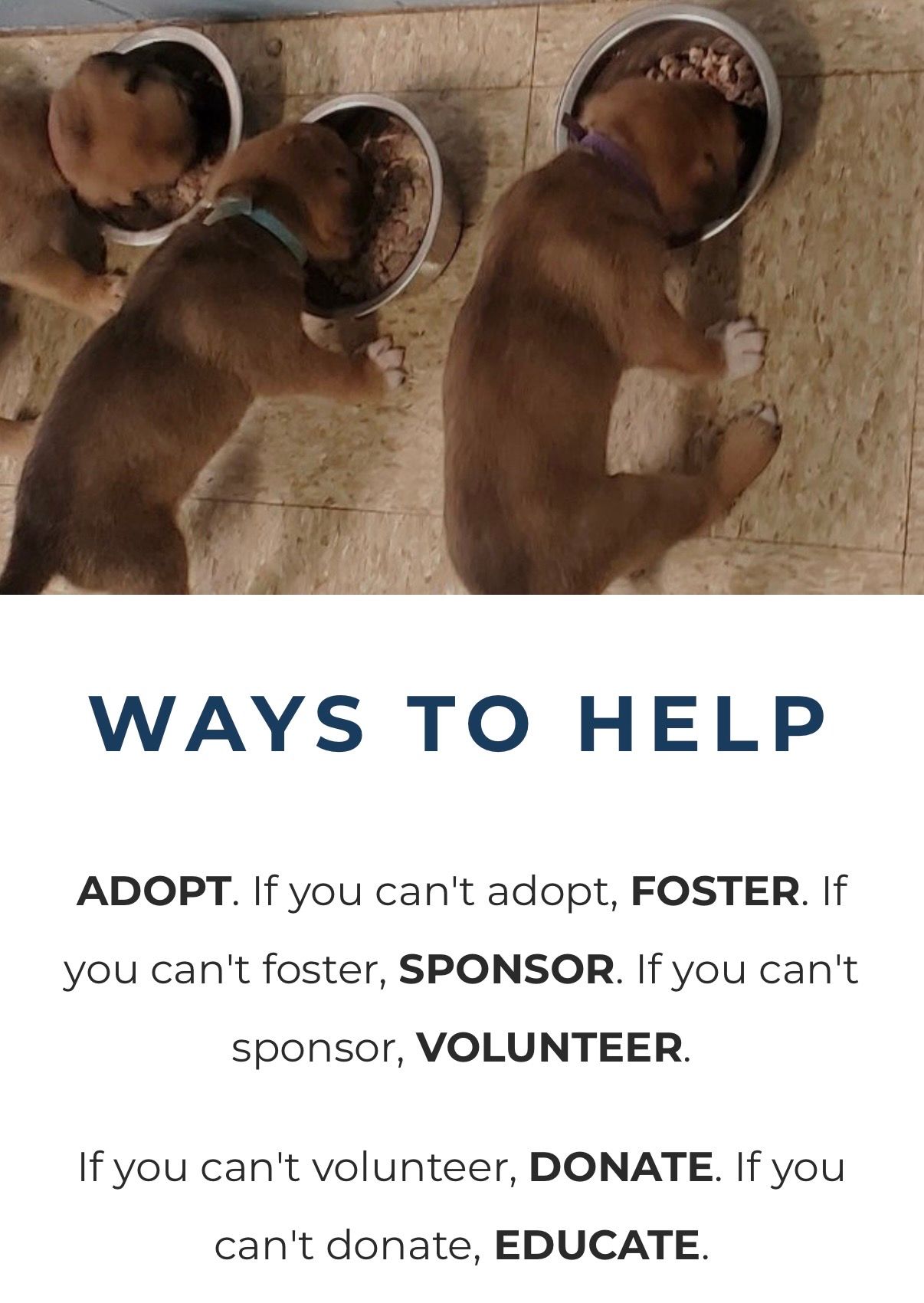Humane Society of Whitley County