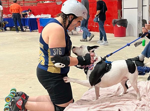 Haseyas New Beginning