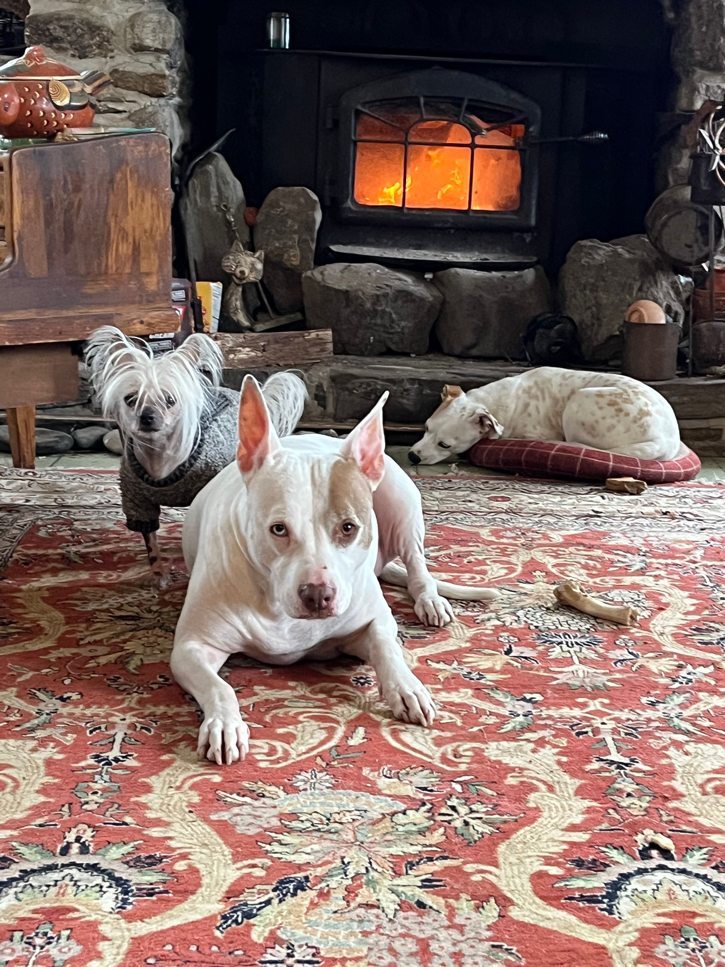 Fairy Farm Sanctuary