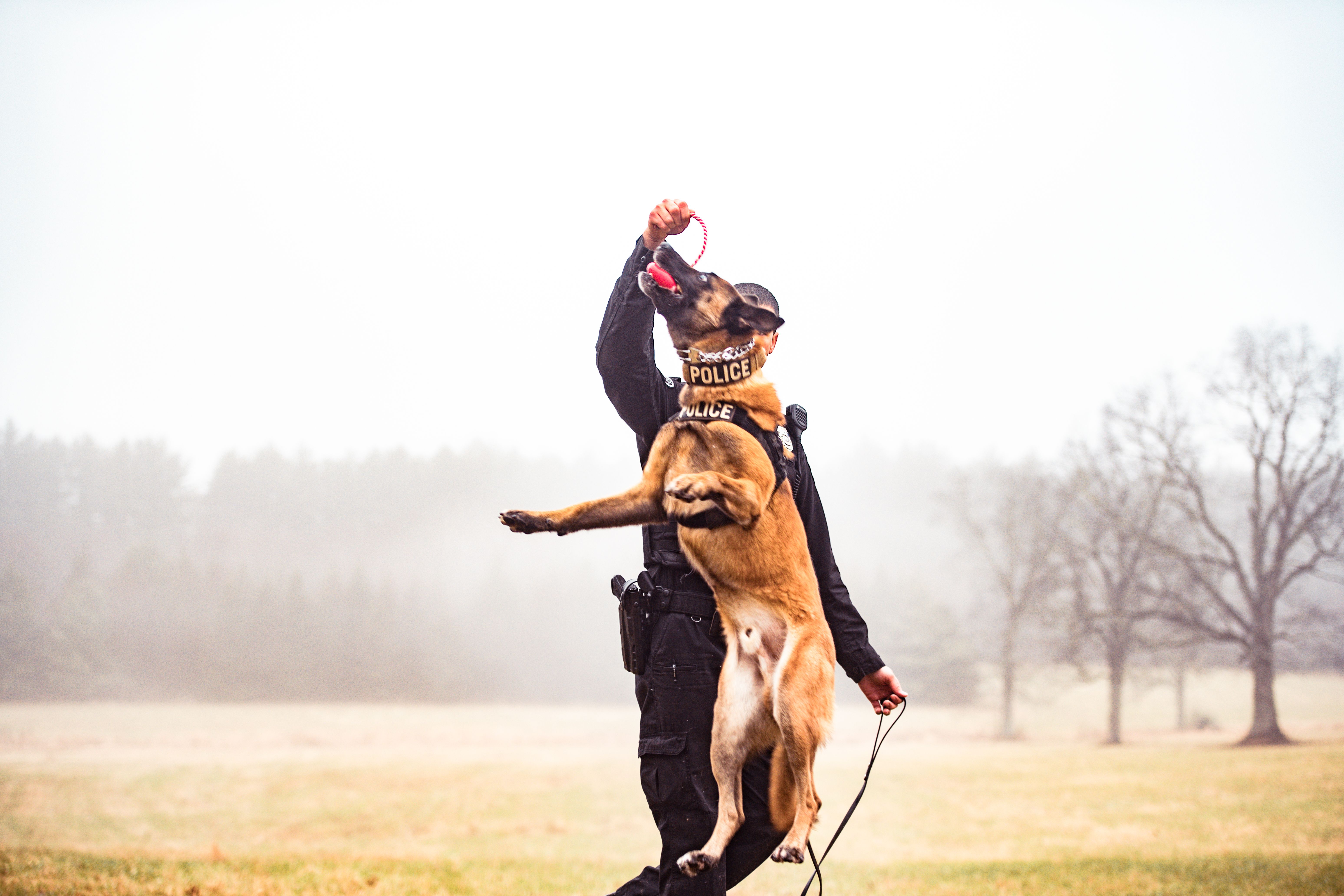 Working Dog Foundation / NH Policy K-9 Academy