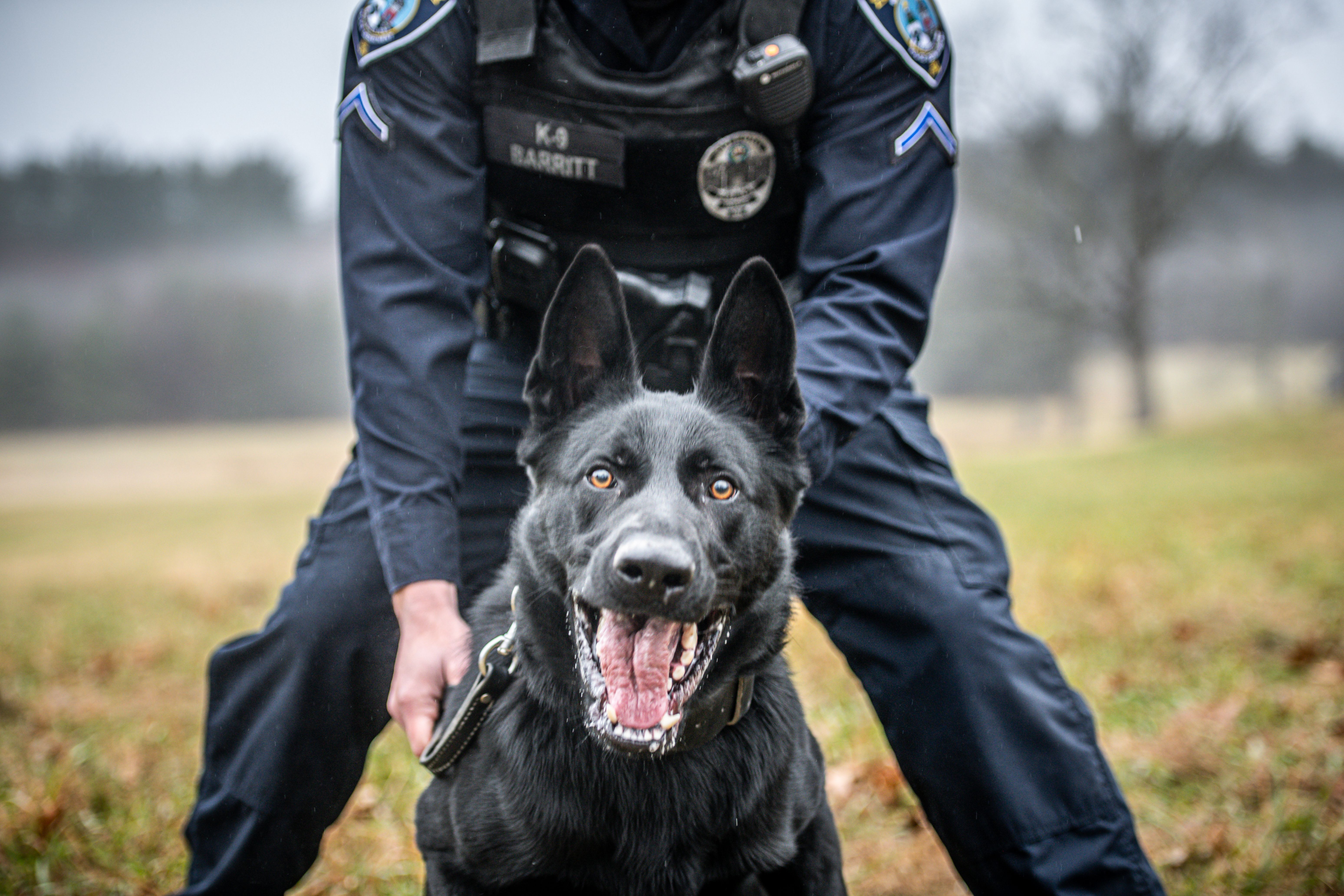Working Dog Foundation / NH Policy K-9 Academy