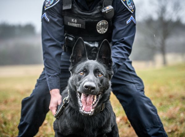 Working Dog Foundation / NH Policy K-9 Academy