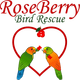RoseBerry Bird Rescue