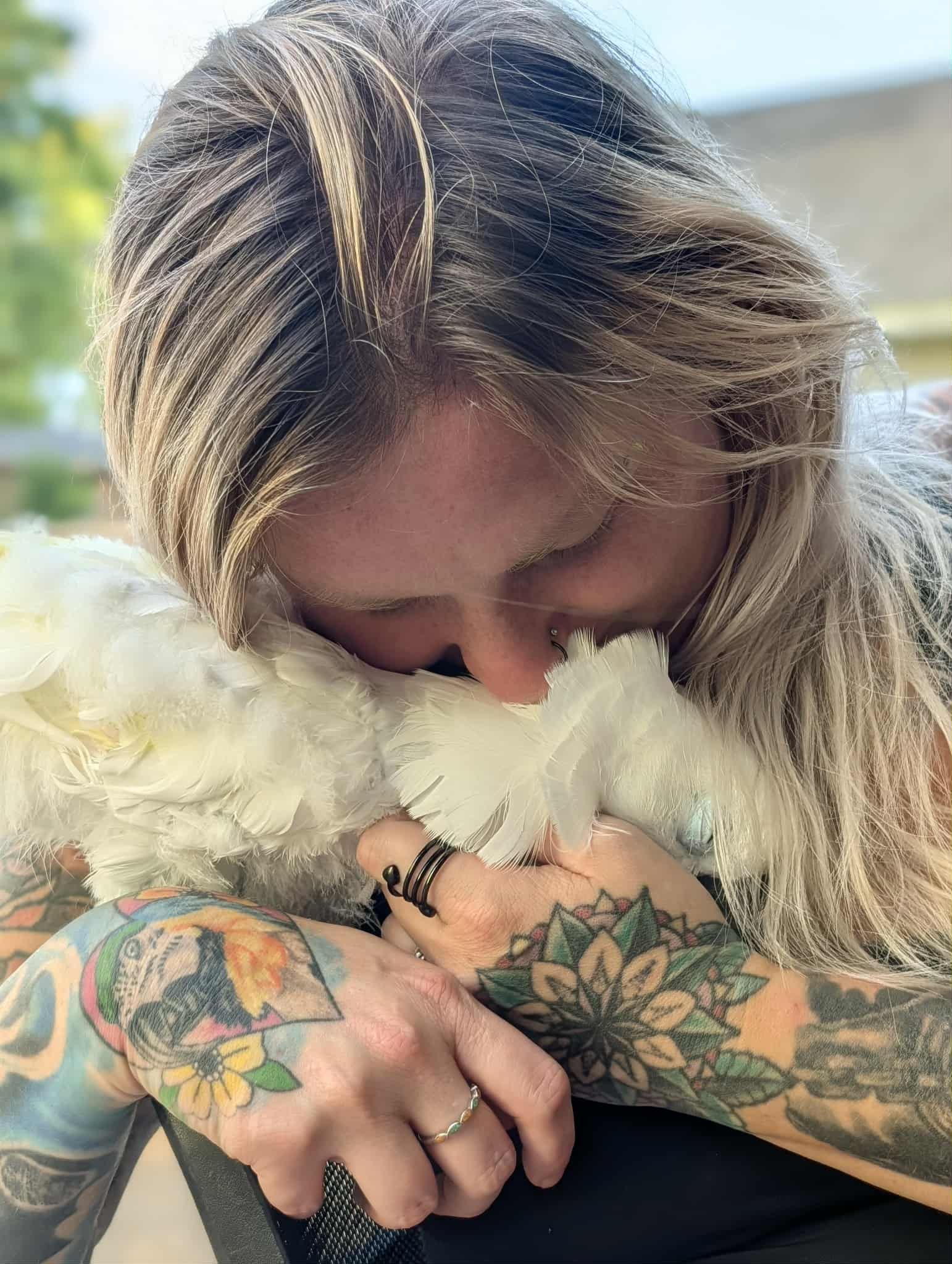 RoseBerry Bird Rescue