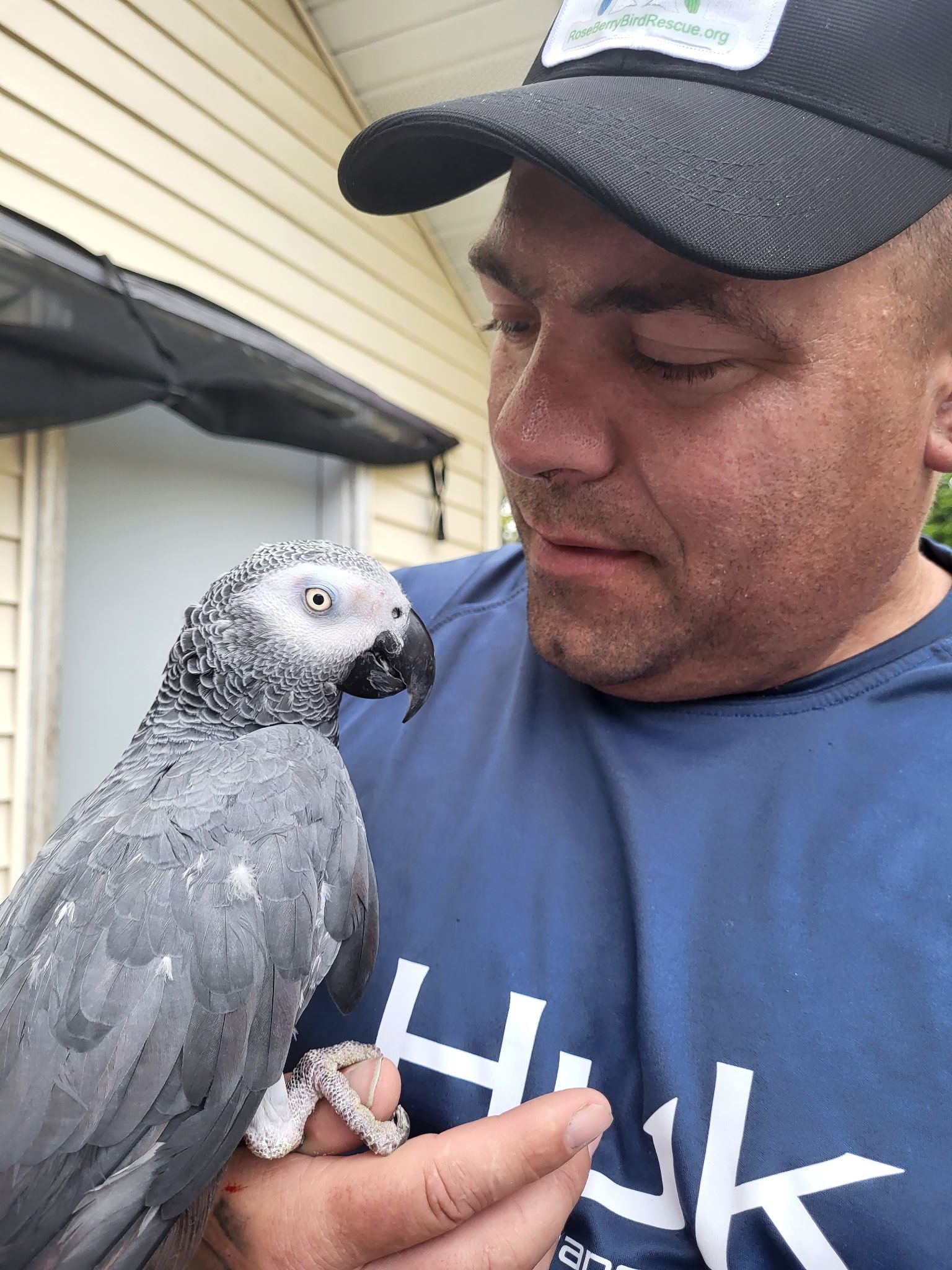 RoseBerry Bird Rescue