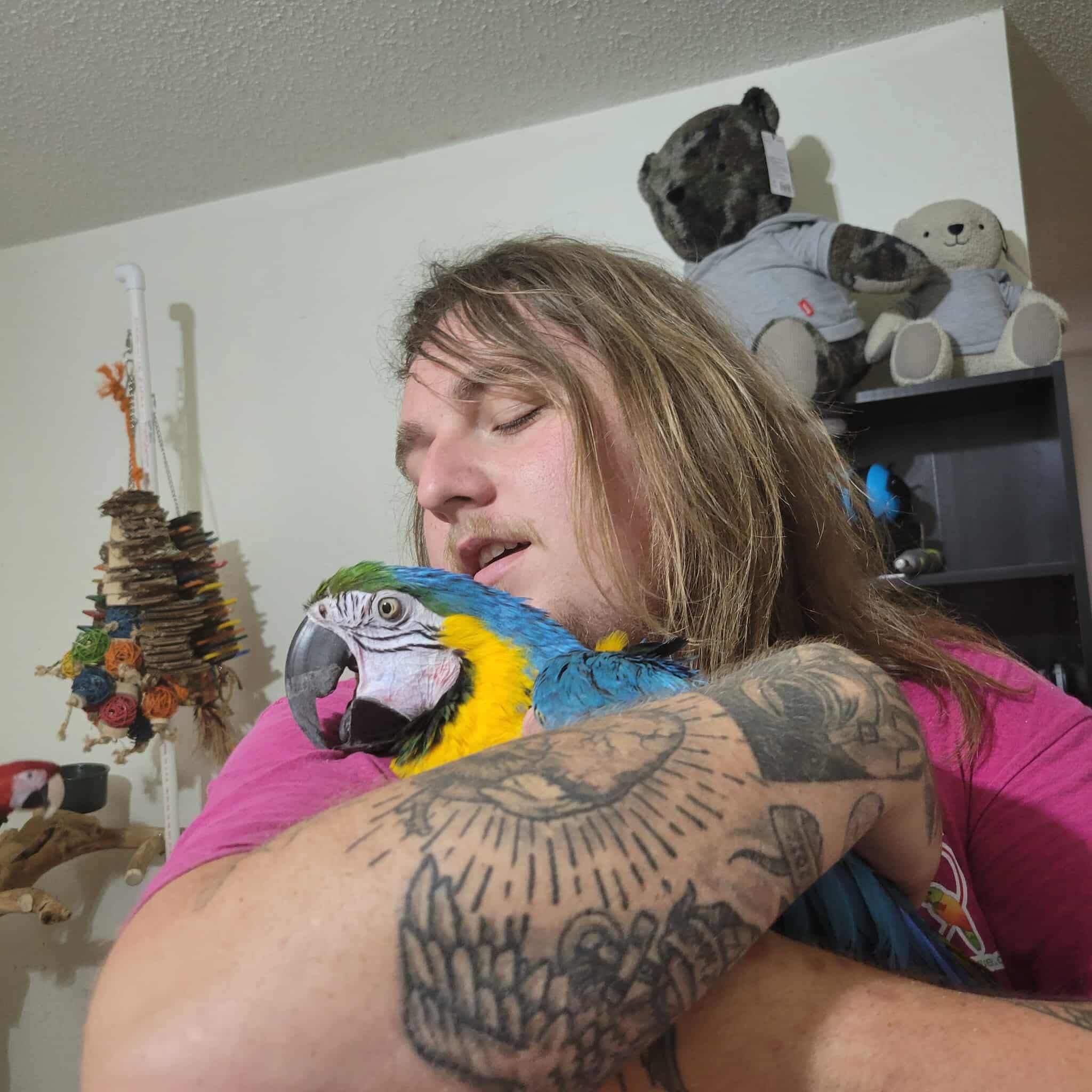 RoseBerry Bird Rescue