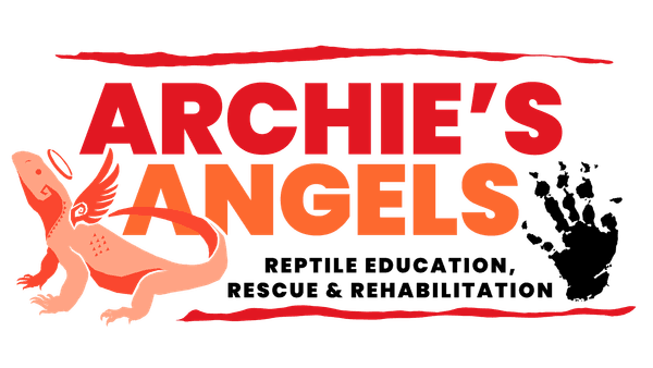 Archie's Angels