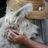 Apifera Farm Inc