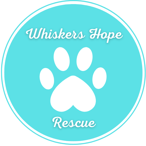 Whiskers Hope Rescue
