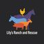Lily's Ranch and Rescue