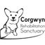 Corgwyn Rehabilitation Sanctuary