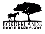 Borderlands Horse Sanctuary