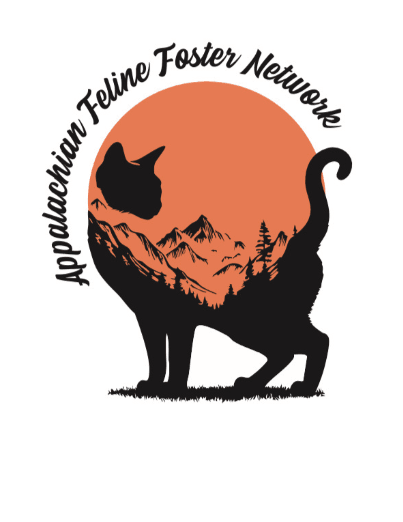 Appalachian Feline Foster Network