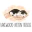Lakewood Kitten Rescue