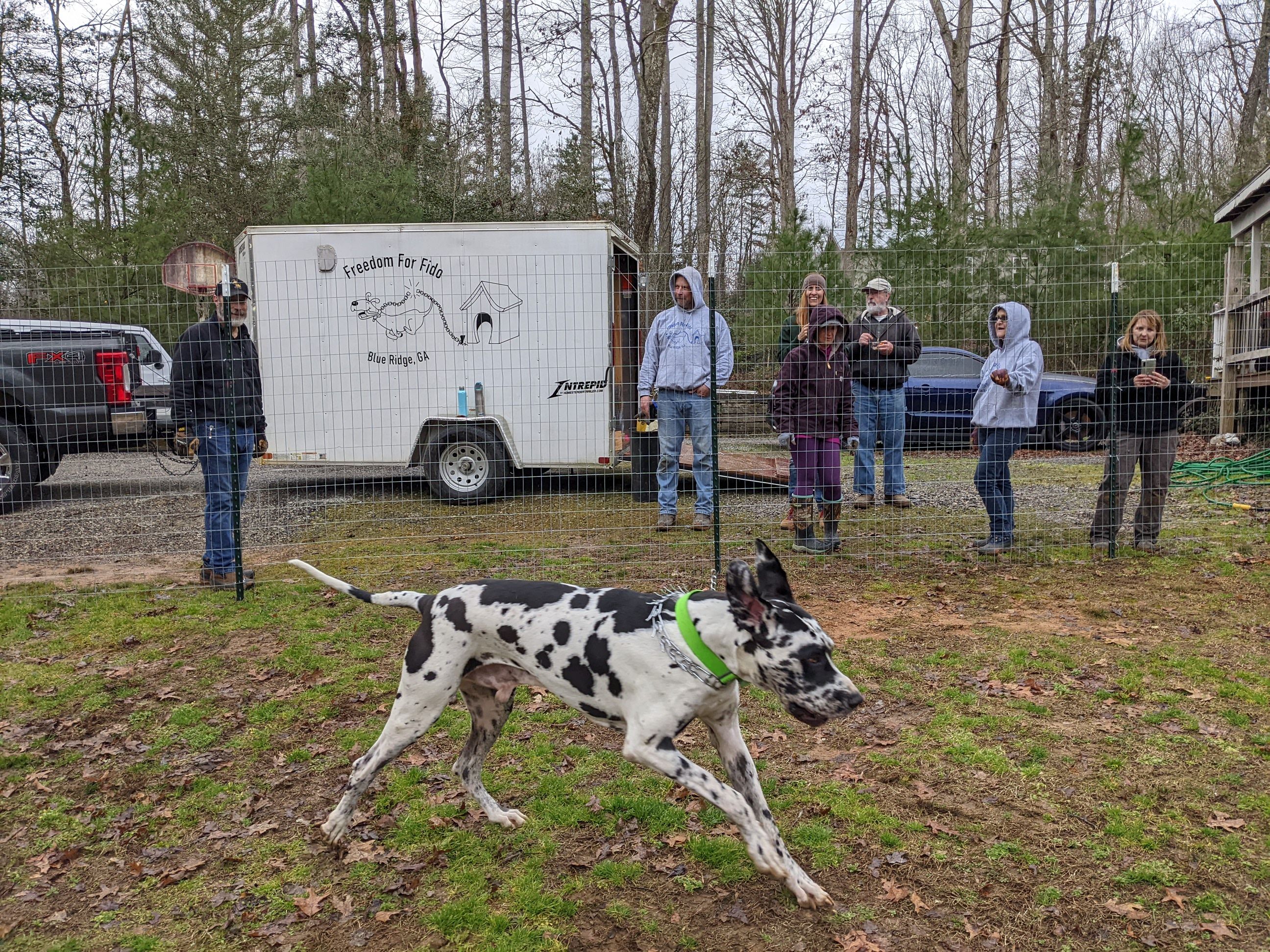 Freedom For Fido