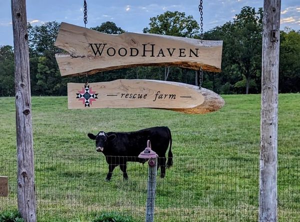 WoodHaven Rescue Farm Inc.