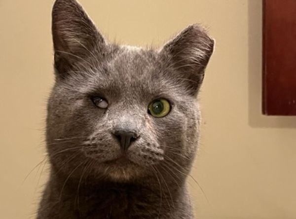 Loving Paws Animal Center