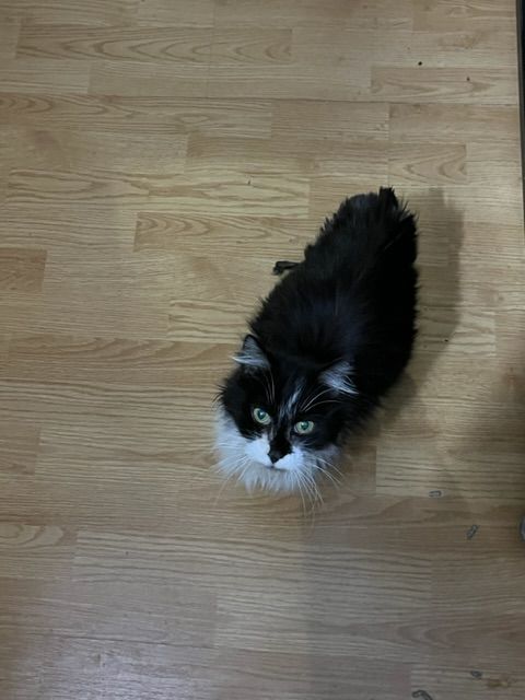 Loving Paws Animal Center