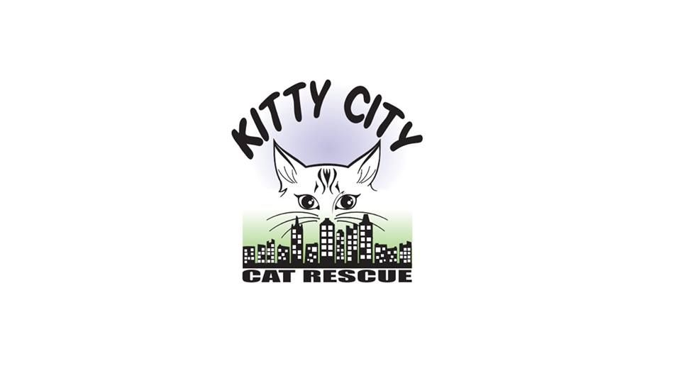 Kitty City Cat Rescue Inc