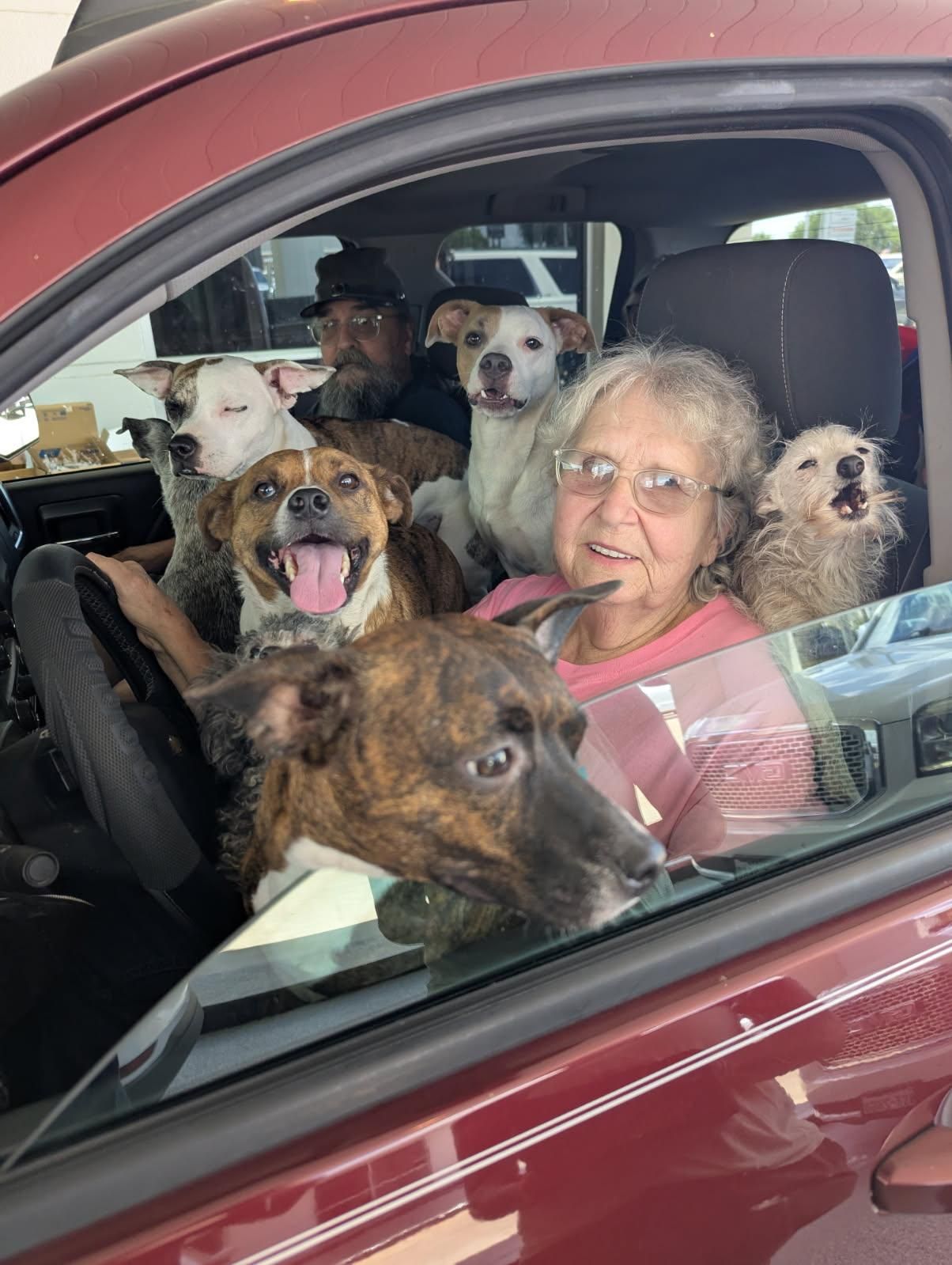 SPCA of Brazoria County