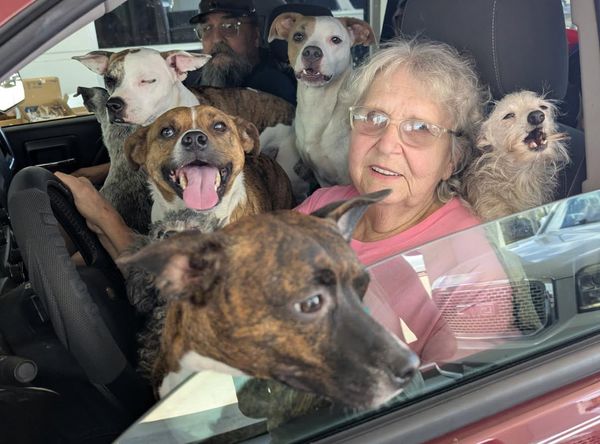 SPCA of Brazoria County