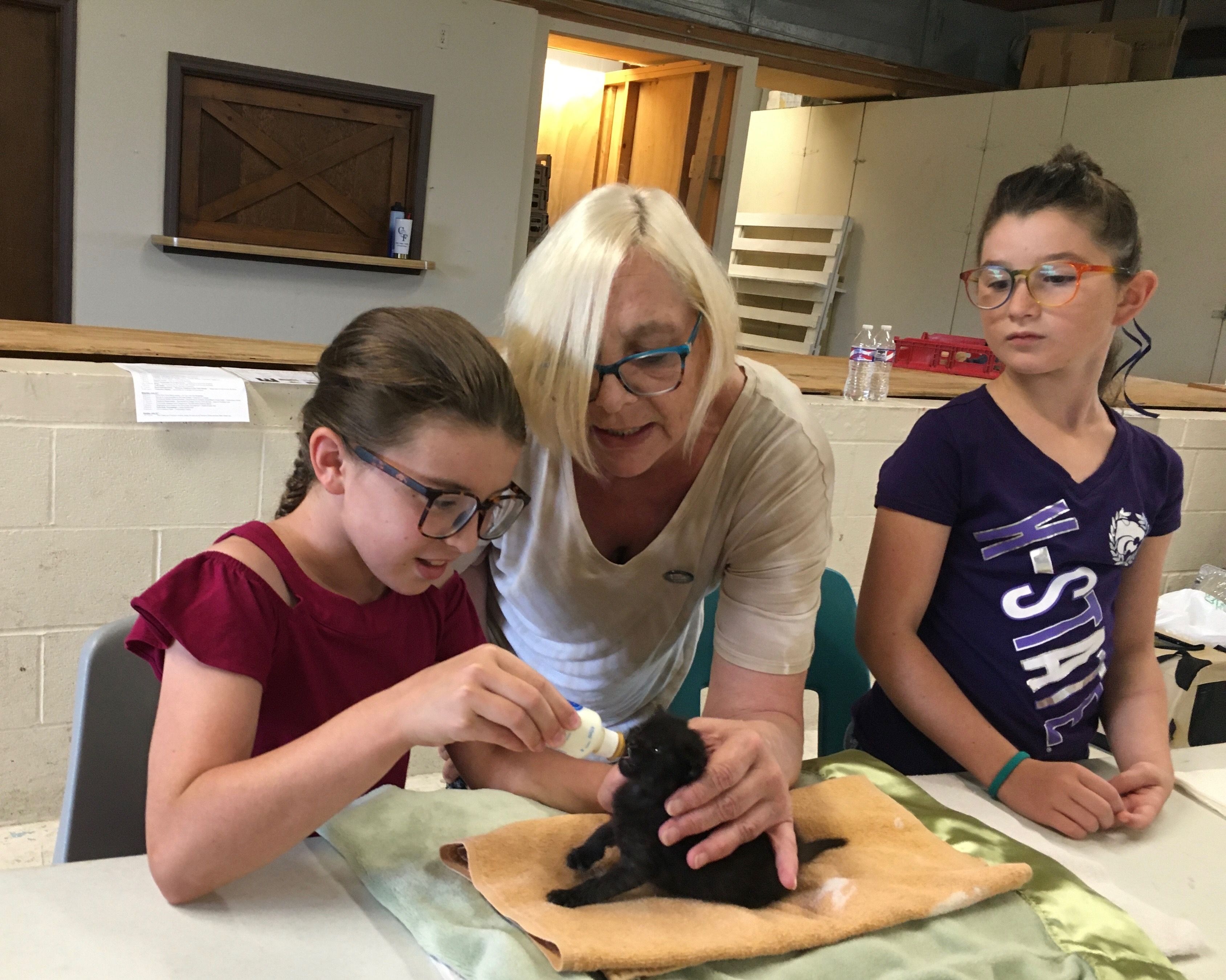 Osage Friends for Felines TNR Inc