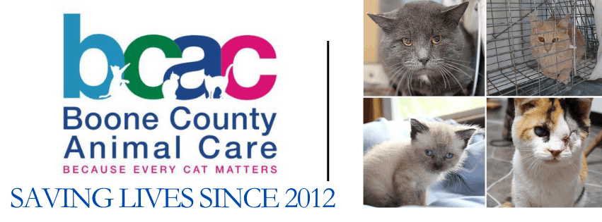 Boone County Animal Care