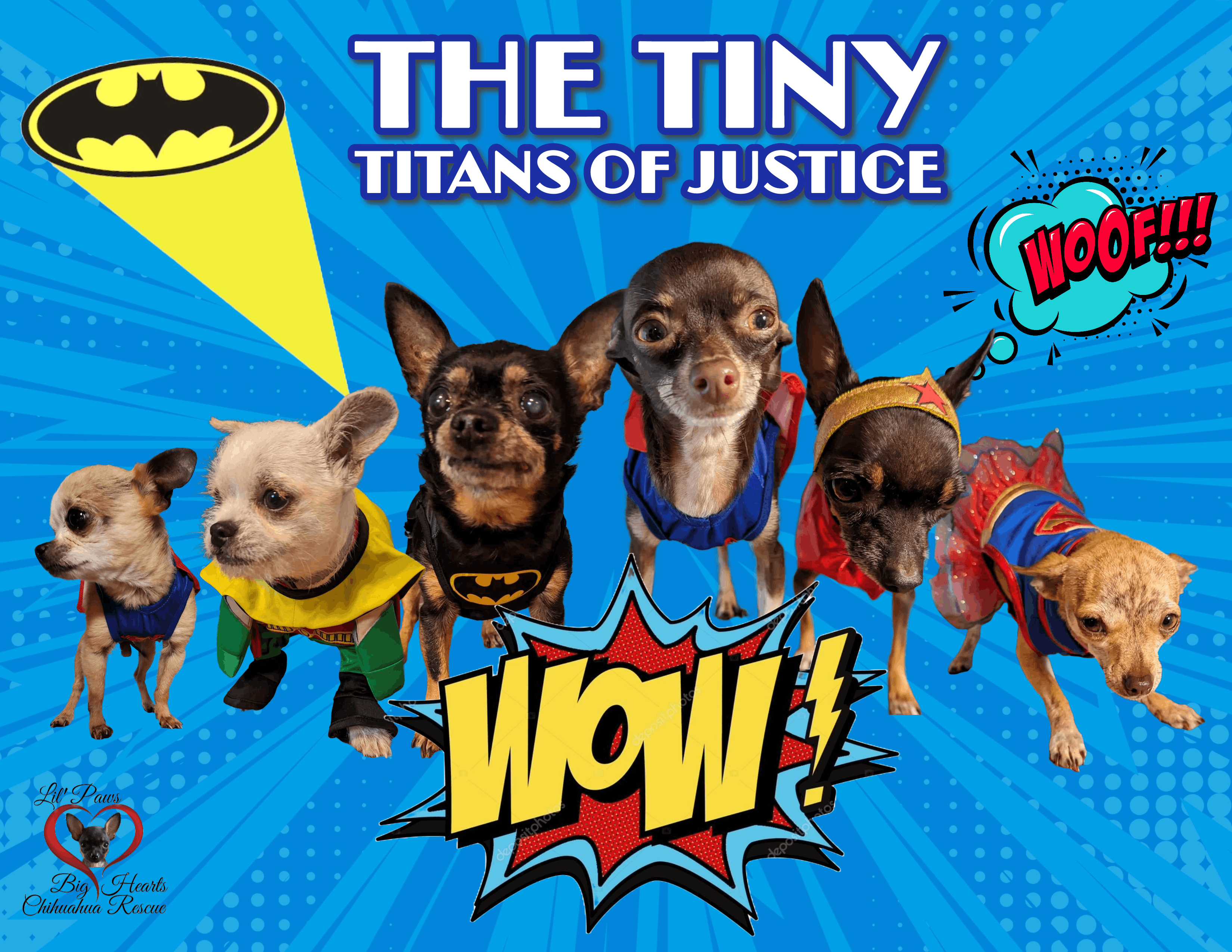 Lil Paws Big Hearts Chihuahua Rescue