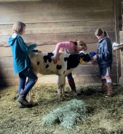 Good Dog K9 Rescue Inc.