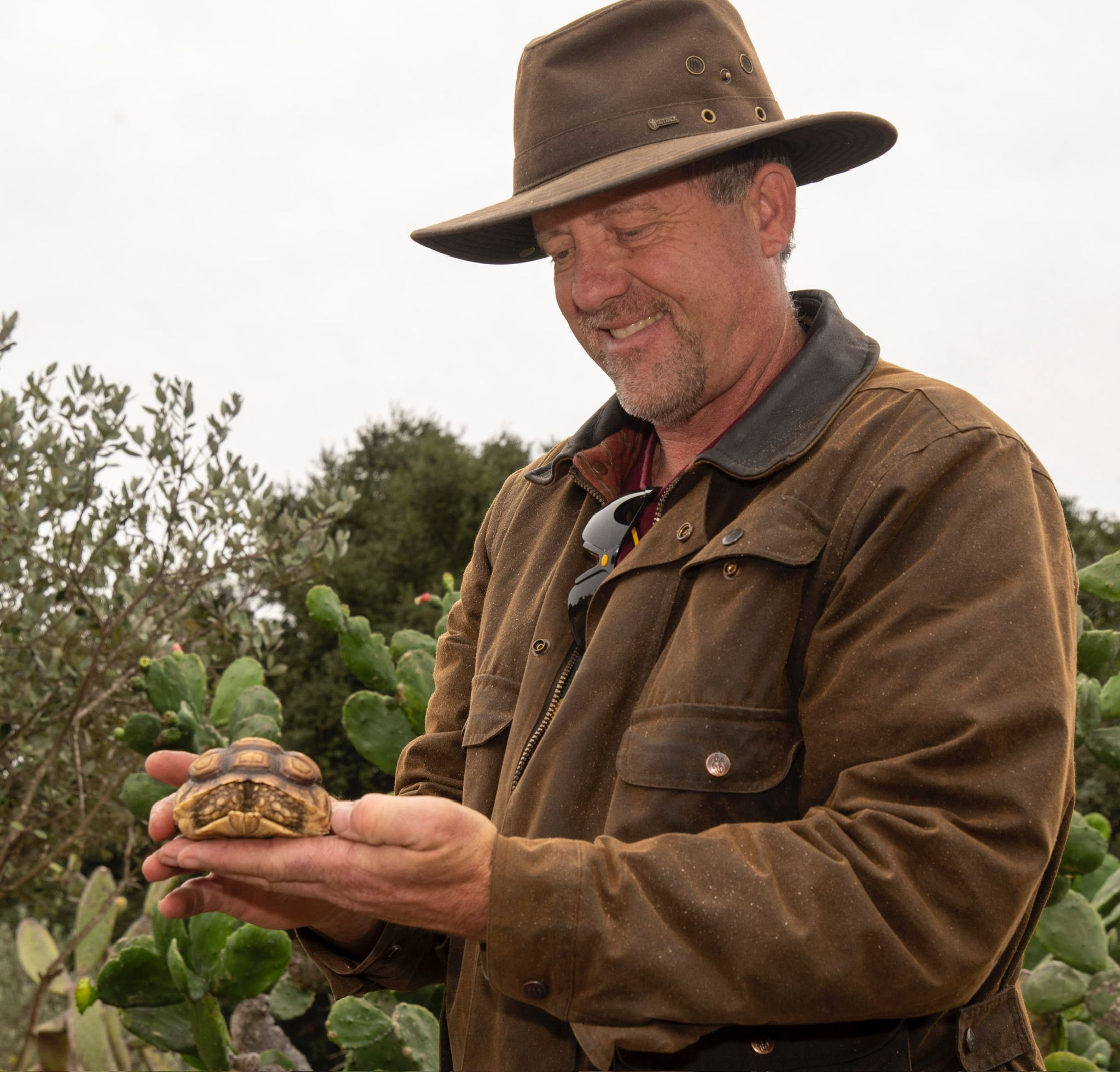 Turtle and Tortoise Rescue of Arroyo Grande
