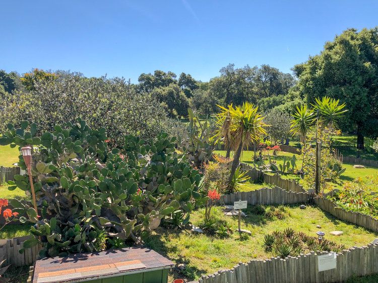 Turtle and Tortoise Rescue of Arroyo Grande