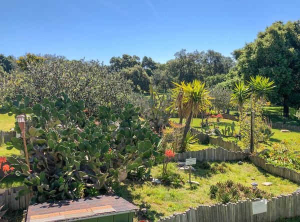 Turtle and Tortoise Rescue of Arroyo Grande