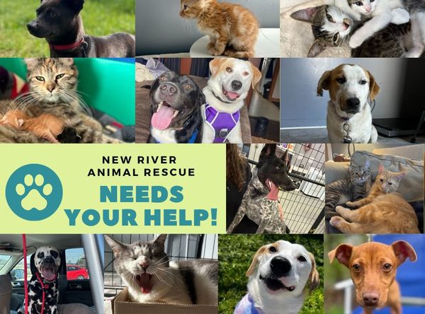 New River Animal Rescue