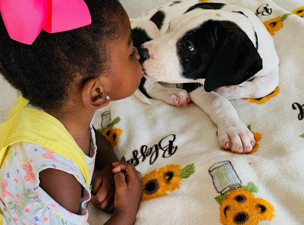 Heartland Rescue Ranch Inc