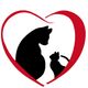 Mewtews Refuge Kitty Rescue