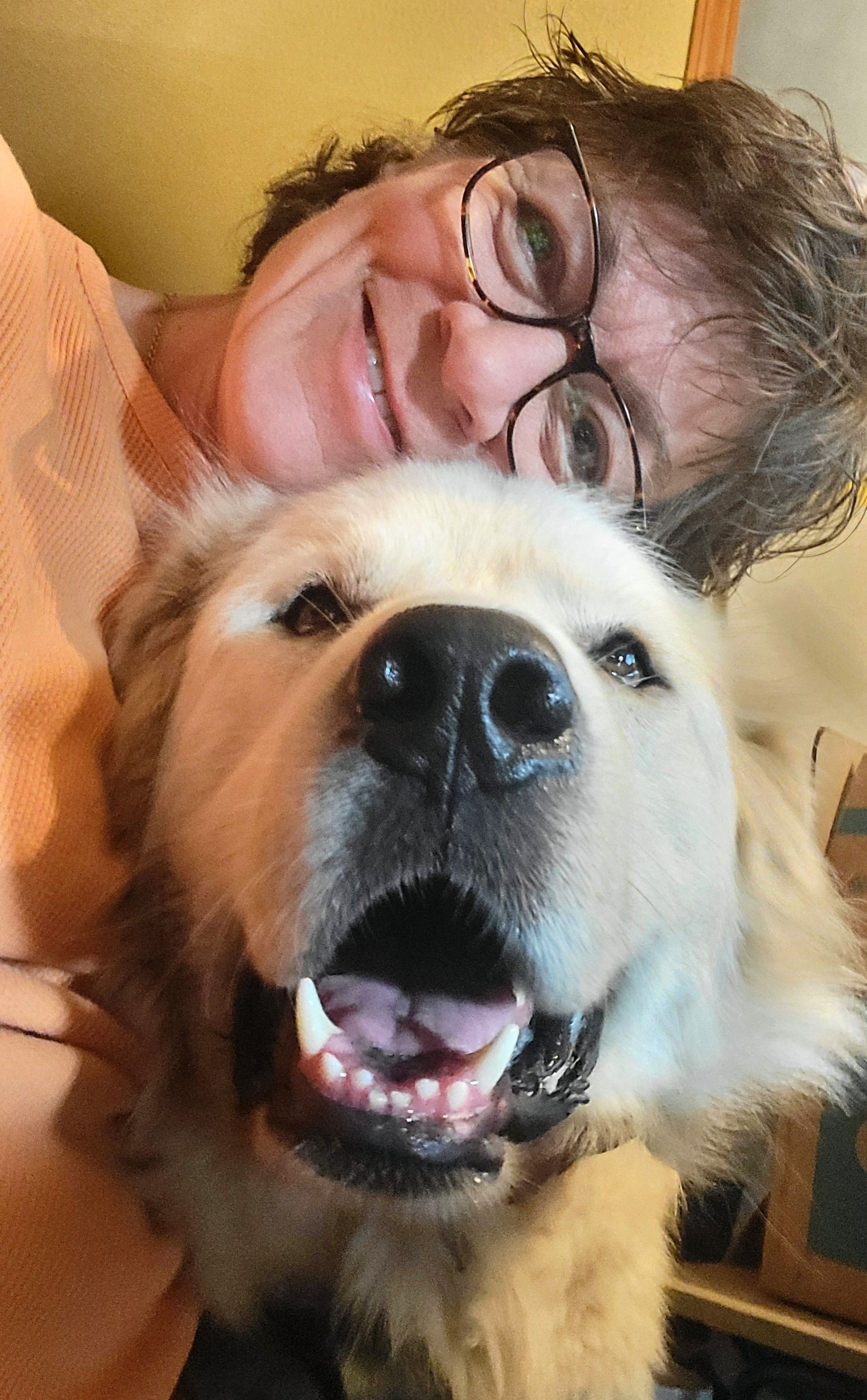 All Mutts Great And Small