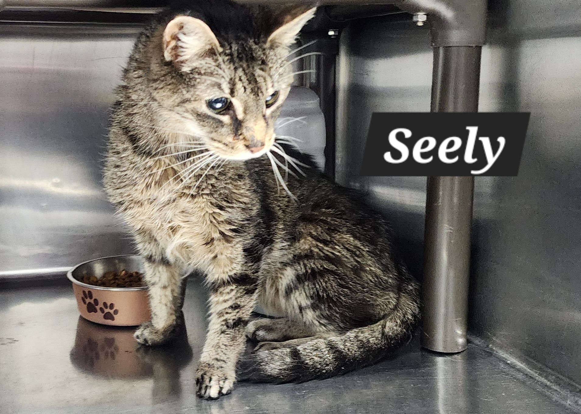 Beare Garden Plantation Animal Rescue Center