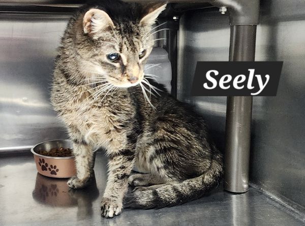 Beare Garden Plantation Animal Rescue Center