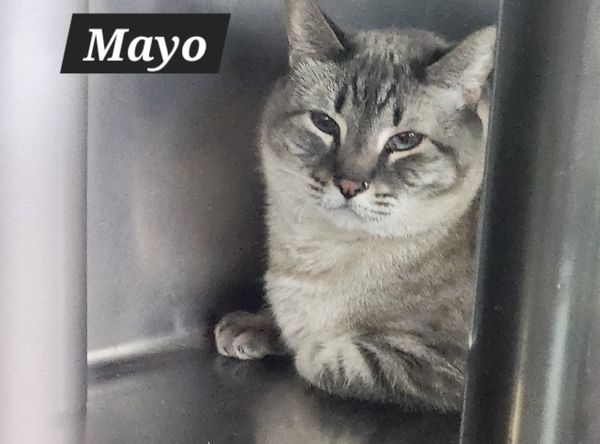 Beare Garden Plantation Animal Rescue Center